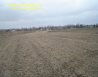 Dzialka Sprzedaż