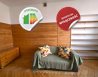 Apartment Rental