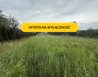 Dzialka Sprzedaż