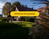 House Sale