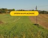 Dzialka Sprzedaż